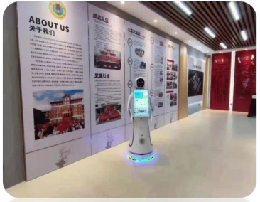 product-366-284 product-366-284